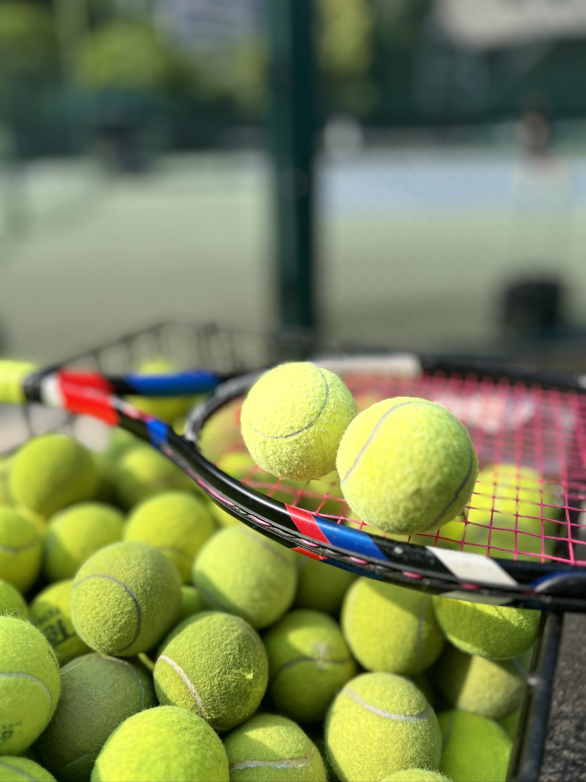 皇马阵中多 皇马阵中多